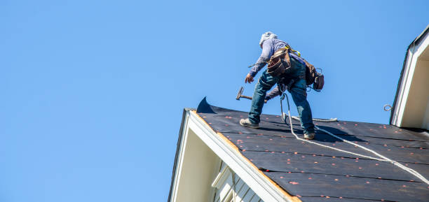 Roof Gutter Cleaning in Visalia, CA